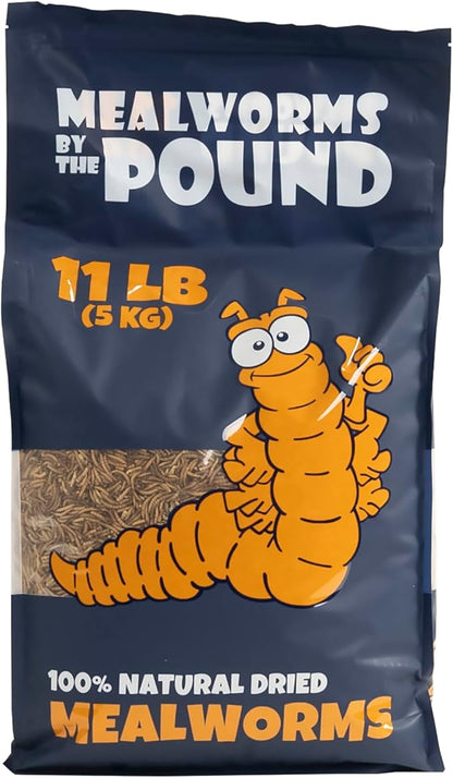 MBTP Bulk Dried Mealworms - Treats for Chickens & Wild Birds (11 Lbs)