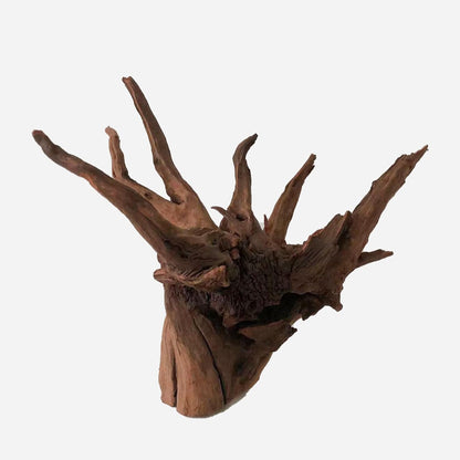 LYPHARD AQUARIUMS Natural Driftwood for Aquarium Decor, L16.14×W14.57×H12.99 Inches Large Drift Wood Decorations for Reptile Hide, Fish Tank, Optional Shapes