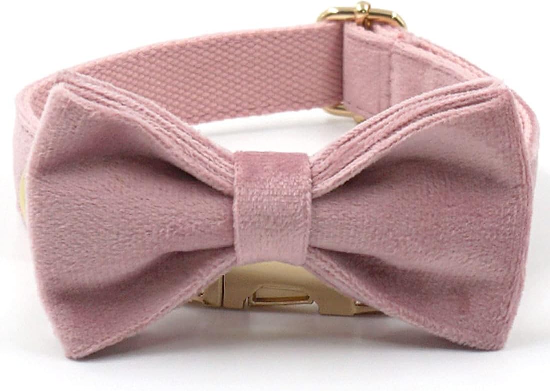 PETDURO Custom Dog Collar Personalized with Name Engraved Gold Metal Buckle for Large Medium Small Girl Dogs - Dog Leash and Bow Tie Available - Soft Comfy Velvet (Champagne Pink, XL)