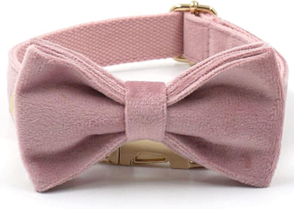 PETDURO Custom Dog Collar Personalized with Name Engraved Gold Metal Buckle for Large Medium Small Girl Dogs - Dog Leash and Bow Tie Available - Soft Comfy Velvet (Champagne Pink, XL)