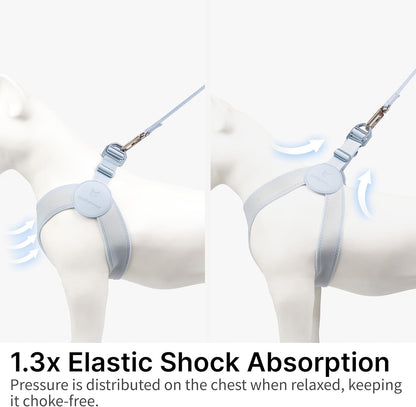 Ultra Comfortable Dog Harness Adjustable Soft Dog Vest, Alloy Buckle Closure Lightweight Stretchy Puppy Harness Step in for Small Sized Dogs Walking Training (Midnight Black, XL 21.7-23.6")