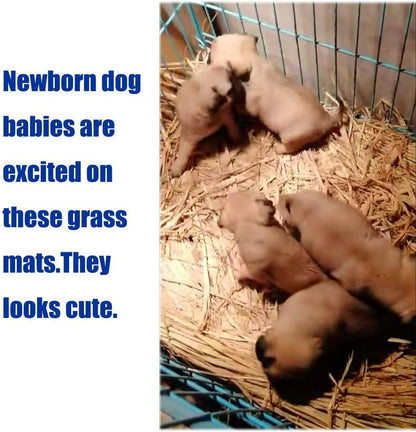 Grass Mat for Rabbit Bunny Chew Toys Woven Bed Mat for Guinea Pig Chinchilla Squirrel Hamster Cat Dog and Small Animal (8PCS Grass mat)