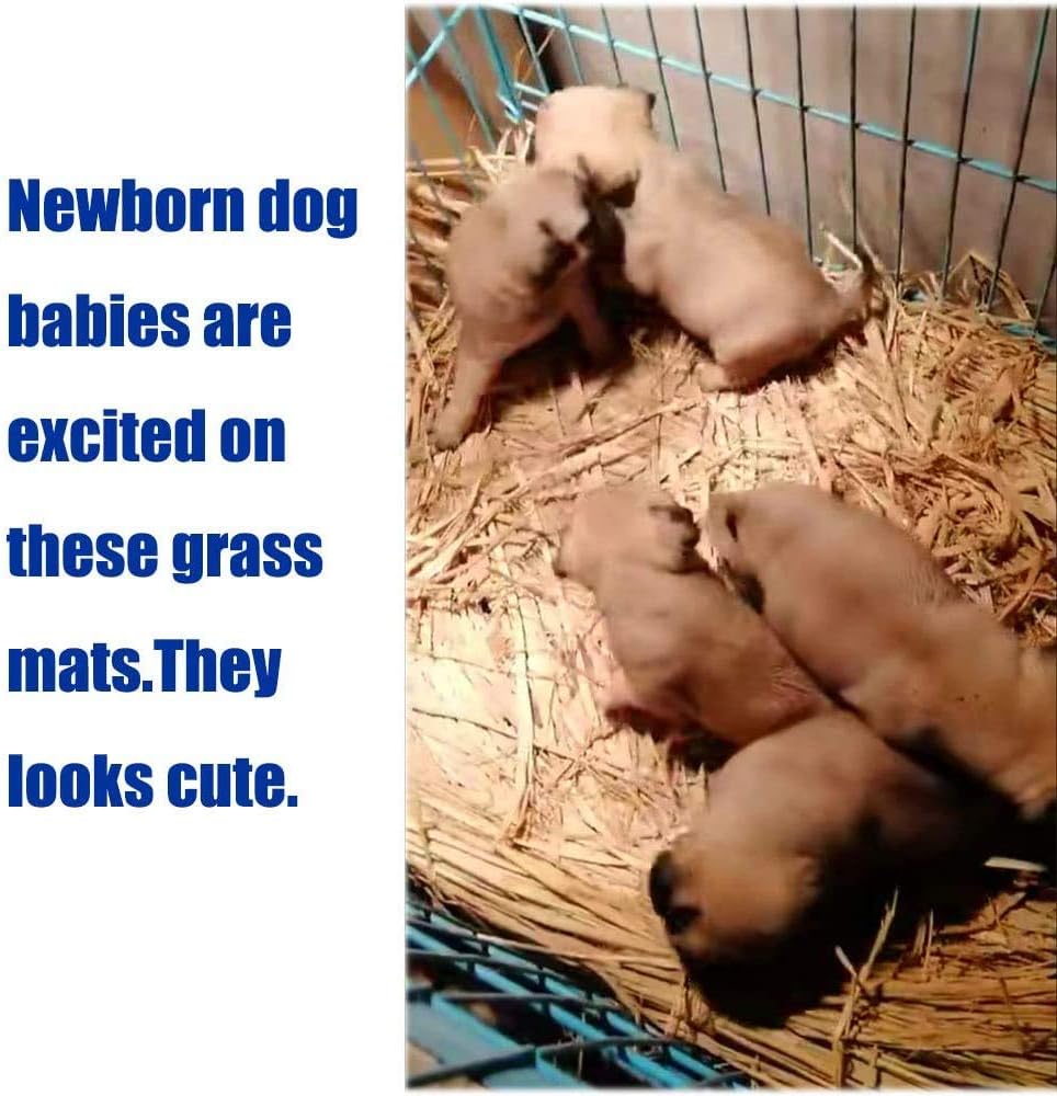 Hamiledyi Grass Mat for Rabbit Bunny Chew Toys Woven Bed Mat for Guinea Pig Chinchilla Squirrel Hamster Cat Dog and Small Animal (6PCS Grass mat)