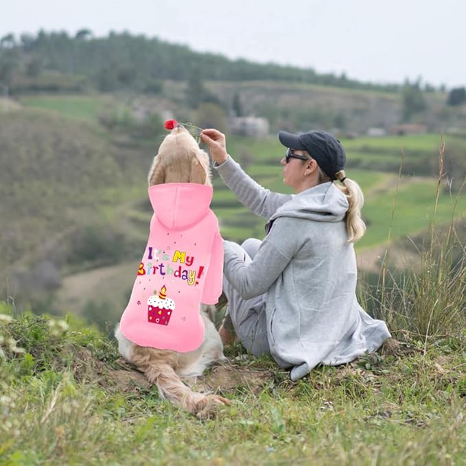 GreenJoy Dog Sweater Dog Hoodie Cold Weather Coat Hooded Sweatshirt for Puppies,Cats, Small Medium Large Dogs (Pink(It's My Birthday), Large)