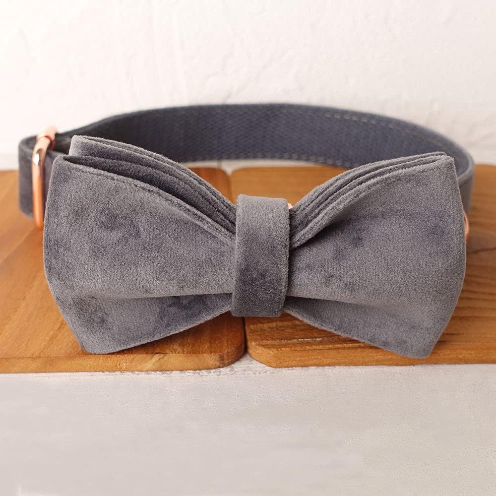 PETDURO Custom Dog Collar Personalized with Name Engraved Quick Release Rose Gold Metal Buckle for Large Medium Small Girl Dogs - Dog Leash and Bow Tie Available - Soft Comfy Velvet (Grey, XL)