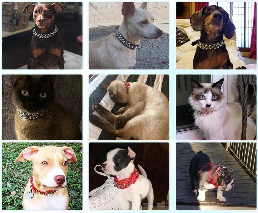 Spiked Dog Collar Soft Pu Leather Mushrooms Rivet Spike Studded Puppy Adjustable Pet Collars for Small Breeds (S, Hot Pink)