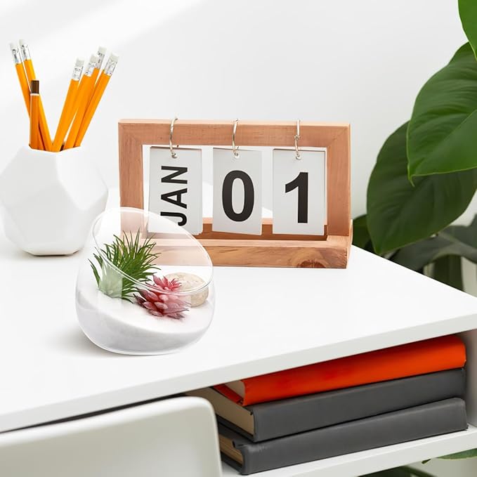 Angoily Cut Bowl Glass Vase Candle Holder Globe Bowl Terrarium Container Glass Planter Fruit Jar Floral Holder