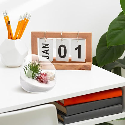 Angoily Cut Bowl Glass Vase Candle Holder Globe Bowl Terrarium Container Glass Planter Fruit Jar Floral Holder