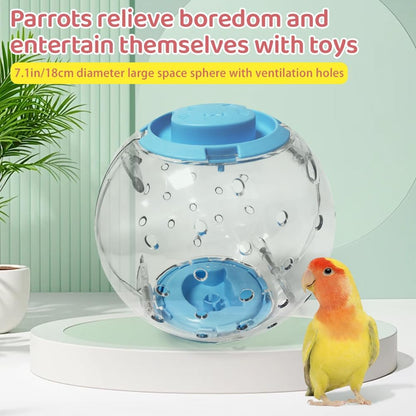 Bird Toys Parrot Running Ball for Small Birds Transparent Breathable Large Space for Parakeets, Conures, Budgies, and Lovebirds, Diameter 7.1-inch