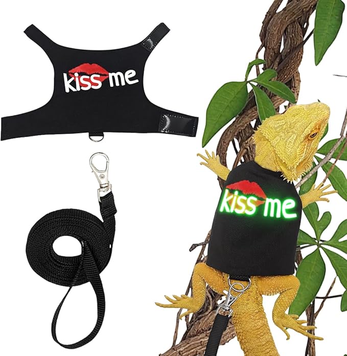 Bearded Dragon Harness and Leash with Glow in The Dark Letter, Luminous Lizard Reptiles Harness with 4.75 ft Leash for Amphibians Chameleons Outdoor Walking (Black)