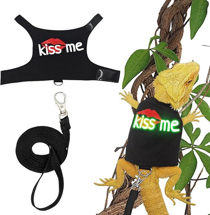 Bearded Dragon Harness and Leash with Glow in The Dark Letter, Luminous Lizard Reptiles Harness with 4.75 ft Leash for Amphibians Chameleons Outdoor Walking (Black)