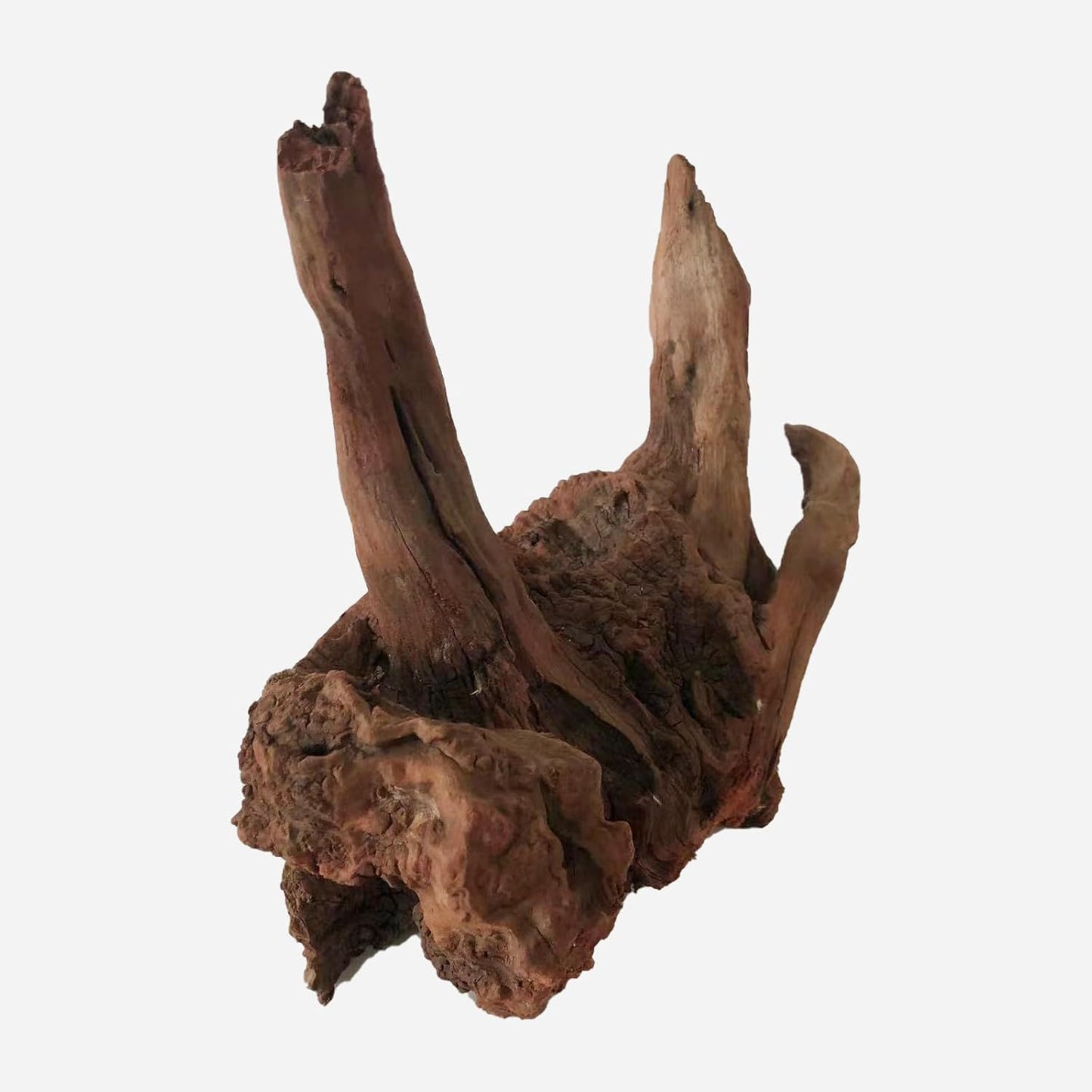LYPHARD AQUARIUMS Natural Driftwood for Aquarium Decor, L11.02×W6.69×H11.81 Inches Large Drift Wood Decorations for Reptile Hide, Fish Tank, Optional Shapes