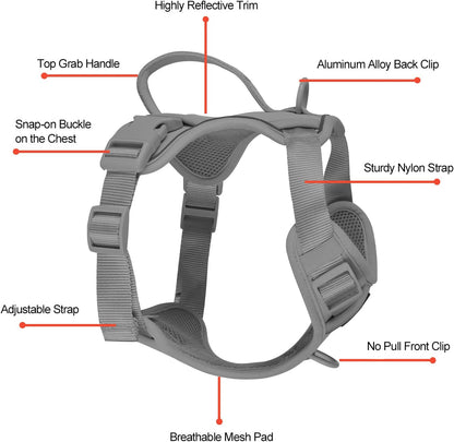 Petmolico Dog Harness for Small Dogs, Cute Harness Vest with Two Leash Clips and Soft Handle, Reflective Easy Walk Puppy Vest - Grey, Medium