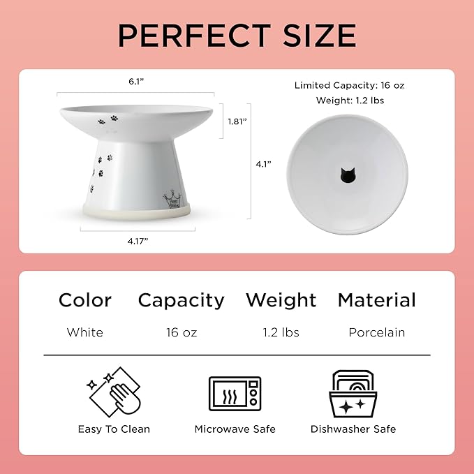 Necoichi Raised Cat Food Bowl – Ceramic Elevated Cat Bowl for Whisker & Neck Fatigue, Dishwasher Microwave Safe – Non-Slip & Anti Vomiting Ergonomic Design (Cats, Extra Wide)