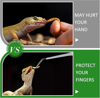 Lasnten 2 Pcs Extra Long Stainless Steel Reptile Feeding Tongs with Rubber Tip Bearded Dragon Aquarium Straight and Curved Long Tweezer Terrarium Feeder Tool for Tank(Silver, 15 Inch)