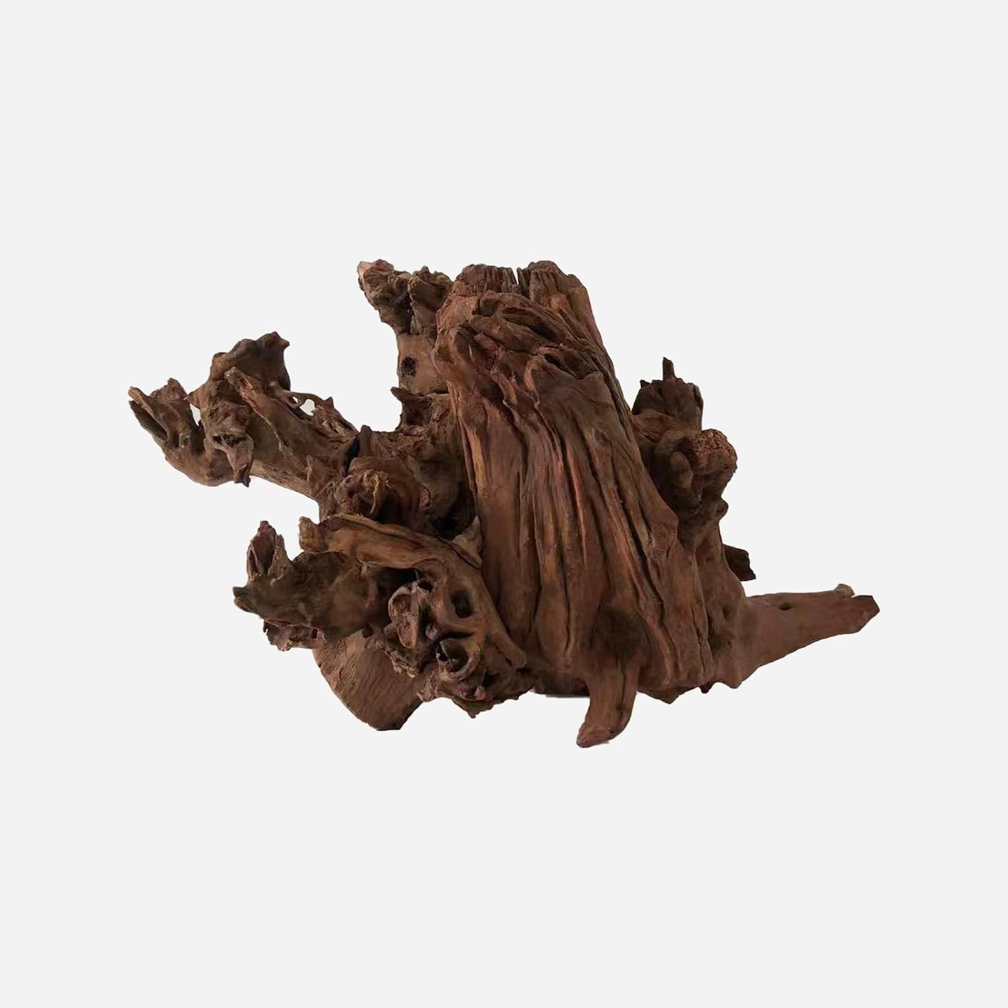 LYPHARD AQUARIUMS Natural Driftwood for Aquarium Decor, L15.35×W11.42×H9.84 Inches Large Drift Wood Decorations for Reptile Hide, Fish Tank, Optional Shapes