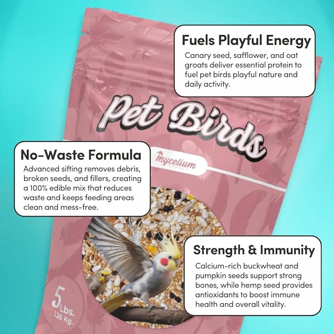 Mycelium Small Pet Bird Seed | Organic Bird Food for Conures, Cockatiels, Lovebirds | Premium Feed, Pumpkin, & Hulled Sunflower | Supports Skin & Feather Health | Non-GMO 5 lb Bag