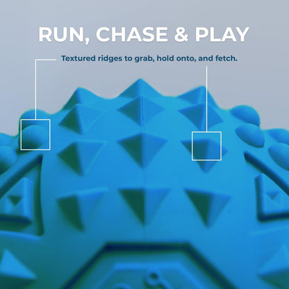 Best Pet Supplies Squeaky Dog Toys with Soft Durable Fabric for Small, Medium and Large Pets Interactive Toy for Indoor Play, Supports Active Biting and Play - Blue (L:3.5")