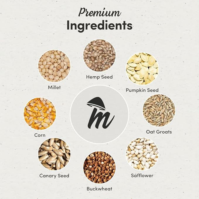 Mycelium Small Pet Bird Seed | Organic Bird Food for Conures, Cockatiels, Lovebirds | Premium Feed, Pumpkin, & Hulled Sunflower | Supports Skin & Feather Health | Non-GMO 5 lb Bag