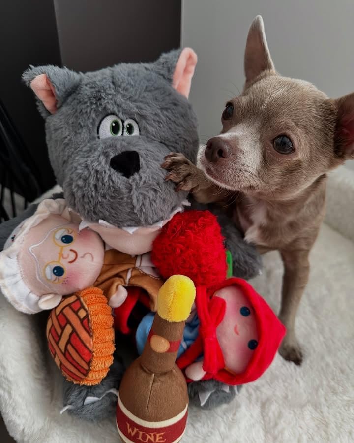 Nocciola Fairy Tale Squeaky Dog Toys, Cute Interactive Plush Stuffed Hide and Seek Cognitive Puzzle Puppy Crinkle Chew Toy for Small, Medium Breed