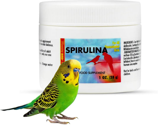 Morning Bird Spirulina 1 Oz Supplement for Caged Birds, Organic Bird Food Supplement with Vitamins, Proteins, and Amino Acids for Parakeets, Cockatiels, Budgies, Finches, Canaries, and Parrots