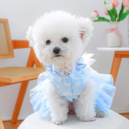 ANIAC Daisy Small Dog Dresses Female with Leash Ring,Bow Knot Girl Puppy Wedding Dress,Valentine's Cat Outfit,Fancy Pet Party Dress for Kitten Chihuahua Yorkie Pomeranian (Blue, X-Small)
