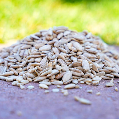 Desert Valley Sunflower Hearts and Chips Seed, All Natural, Non-GMO Premium Wild Bird and Wildlife Food (5 Pounds)