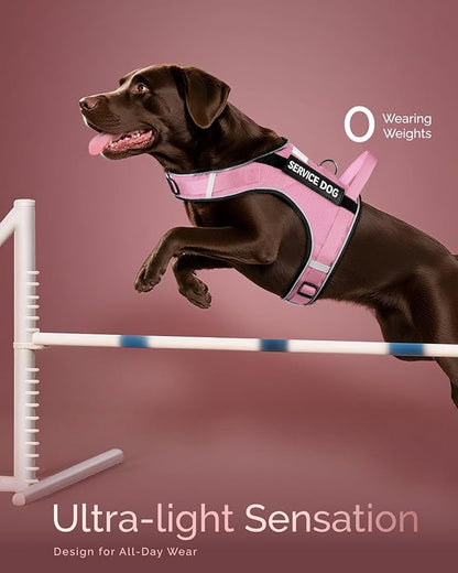 FAYOGOO Service Dog Vest for Large Dogs - Air Mesh Breathble Emotional Support Animal Vest with DIY Removable Patches - Dog Harness and Leash Set Adjustable Neck and Chest(Pink,XL)