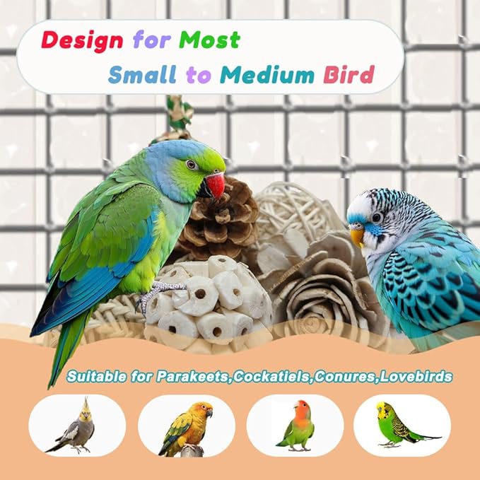 Bird Toys Parrot Toys Natural Bird Foraging Box Foot for Parakeets,Cockatiels,Conures,Love Birds,and Other Small to Medium Birds (Medium)