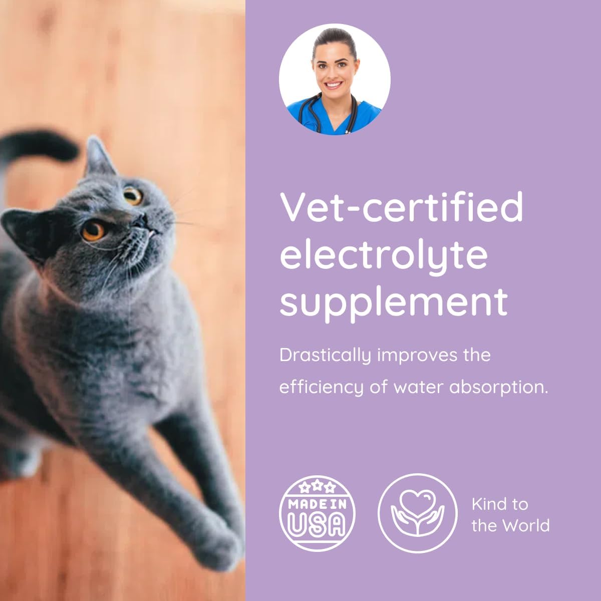 Petralyte Cat Hydration Electrolyte and Cat Joint Supplement | Hydration Support for Cats w/Glucosamine, Chondroitin, L-Glutamine, Taurine, Lysine & Prebiotics | for Salmon Lovers | 16 Packets