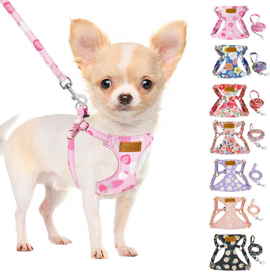 SlowTon No Pull Dog Harness with Leash - Soft Lightweight Floral Pattern Puppy Harness, Adjustable Pet Harness for Small Medium Dogs (Strawberry XXS)