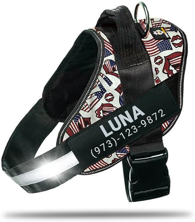 Personalized No-Pull Dog Harness with Name Patch, Adjustable, Reflective, Padded, Heavy Duty Pet Vest to Prevent Tugging, Pulling, or Choking, Training and Walking, USA, XS