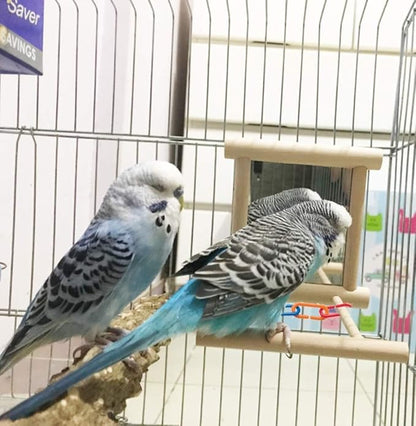 Bird Mirror Wooden Hanging Swing Interactive Play Toys for Small Parrot Budgies Macaw African Grey Parakeet Cockatiel Conure Lovebird Cage Accessories (Bird Mirror Perch Stand-2 PCS)