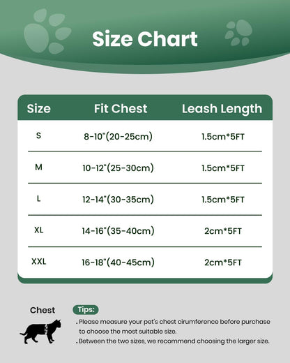 FAYOGOO Cat Harness, Cat Leash and Harness Set for Walking Escape Proof, Harness for Small Cats/Small Dogs, Large Kitten/Puppy Harness and Leash, Harness for Cats S-XXL(Neon Green, Large)