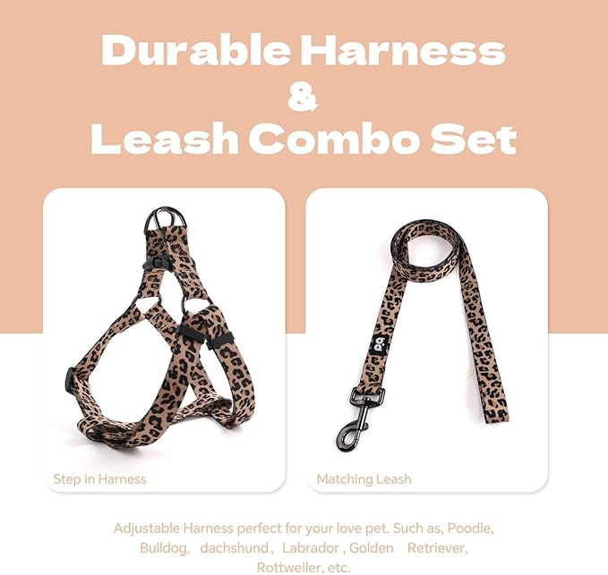 QQPETS Dog Harness Leash Set Adjustable Heavy Duty No Pull Halter Harnesses for Small Medium Large Breed Dogs Back Clip Anti-Twist Perfect for Walking