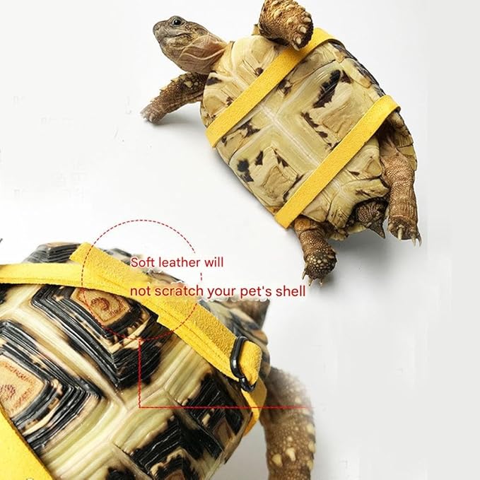 HQSSG Adjustable Tortoise Harness Leash – Soft Suede Strap & Stainless Steel Chain –Pet Turtle Leather Harness and Leash Harness Pet Walking Rope for Small Medium for Shells Up to 7.9"/15.7"