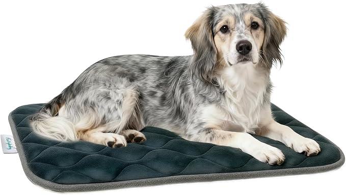 furrybaby Dog Bed Mat Flat Crate Mat with Anti-Slip Bottom Machine Washable Pet Kennel Pad for Dog Sleeping (M 30x19'', Grey Mat)