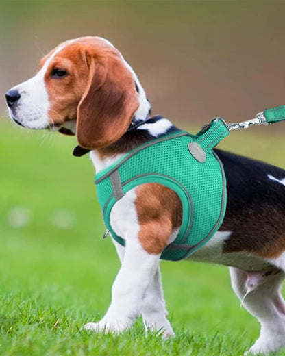 Joytale Small Dog Harness, Breathable Mesh Step-in Vest, Reflective Soft Padded Harnesses for Medium Dogs, Teal, XL