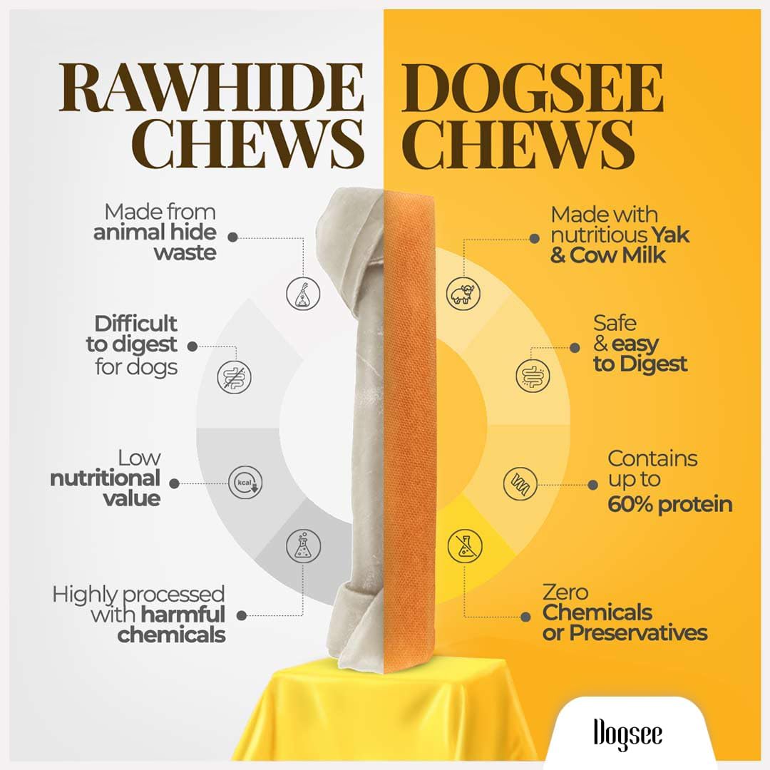 Dogsee Himalayan Yak Cheese Dog Chews with Turmeric/Curcumin (Medium - 6Chew) | Long Lasting | Anti-inflammatory | Fights Plaque and Tartar | Odorless Dog Treats