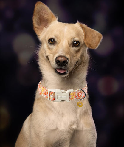 DOGWONG Fall Flower Dog Collar- Cute Flower Dog Collars Adjustable Floral Dog Collar for Girl Female Small Medium Large Dogs L