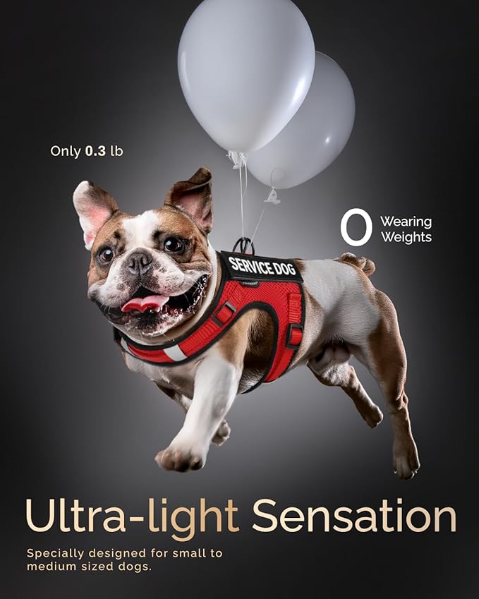 FAYOGOO Service Dog Vest for Small Dogs - Air Mesh Breathble Emotional Support Animal Vest with DIY Patches - Puppy Harness and Leash Set Adjustable Neck and Chest