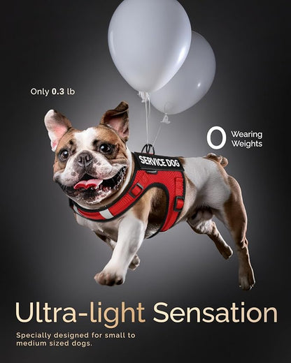 FAYOGOO Service Dog Vest for Small Dogs - Air Mesh Breathble Emotional Support Animal Vest with Velcro Patches - Puppy Harness and Leash Adjustable Neck and Chest for All-Season Training,Walking