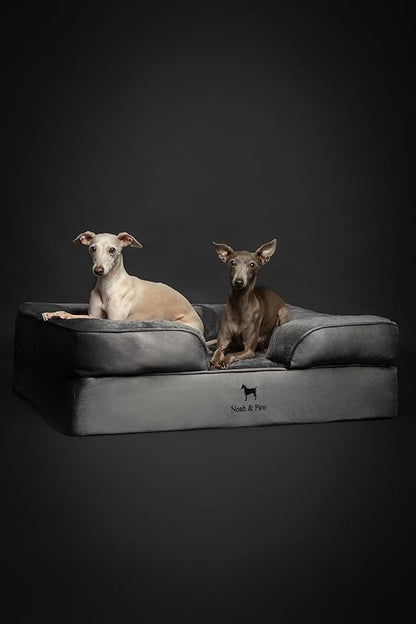 NOAH & PAW Large Dog Bed, 35x25x11 Inch, Orthopedic Dog Beds, Eggshell Memory Foam Infused with Cooling Gel, Inner Cover, Waterproof, Machine Washable (Velvet Sofa Collection)