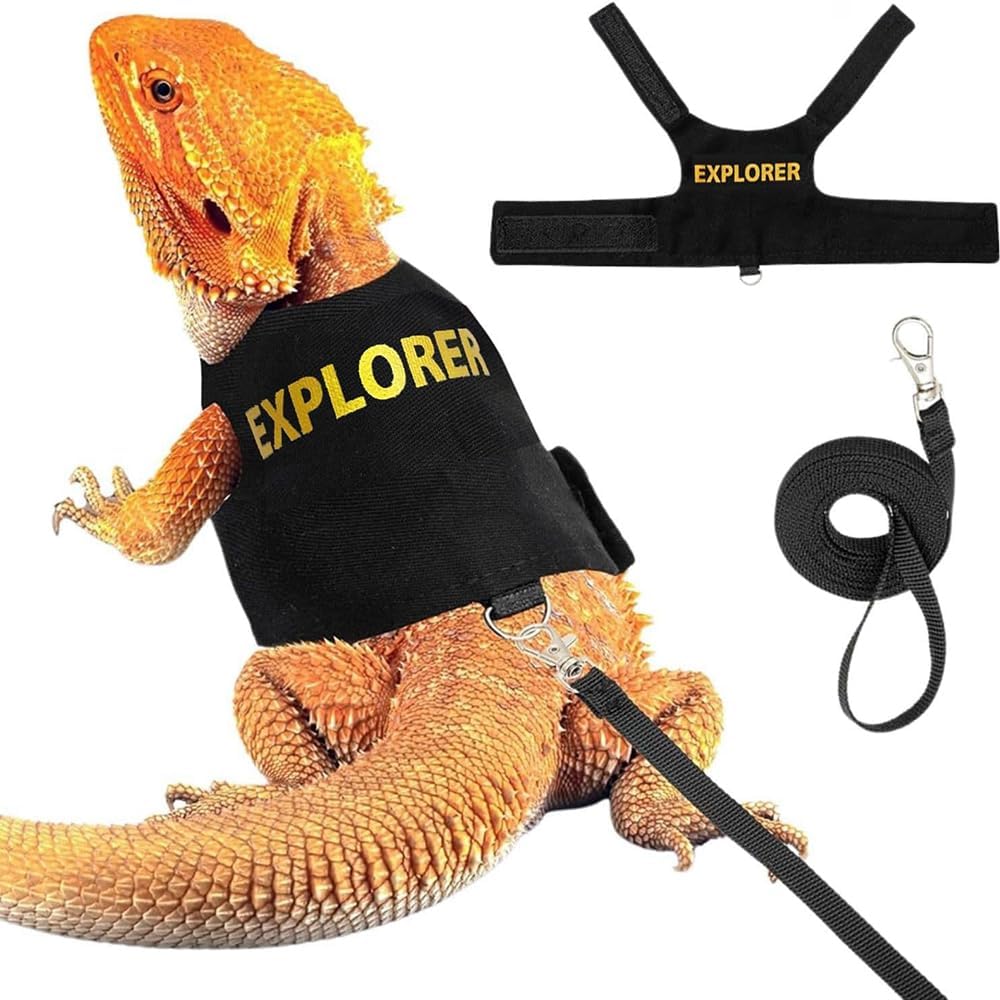 Reptile Leash Harness Soft Padding Dragon Wings Vest with Hook and Loop for Small Animals Cute Security Clothes (Explorer)