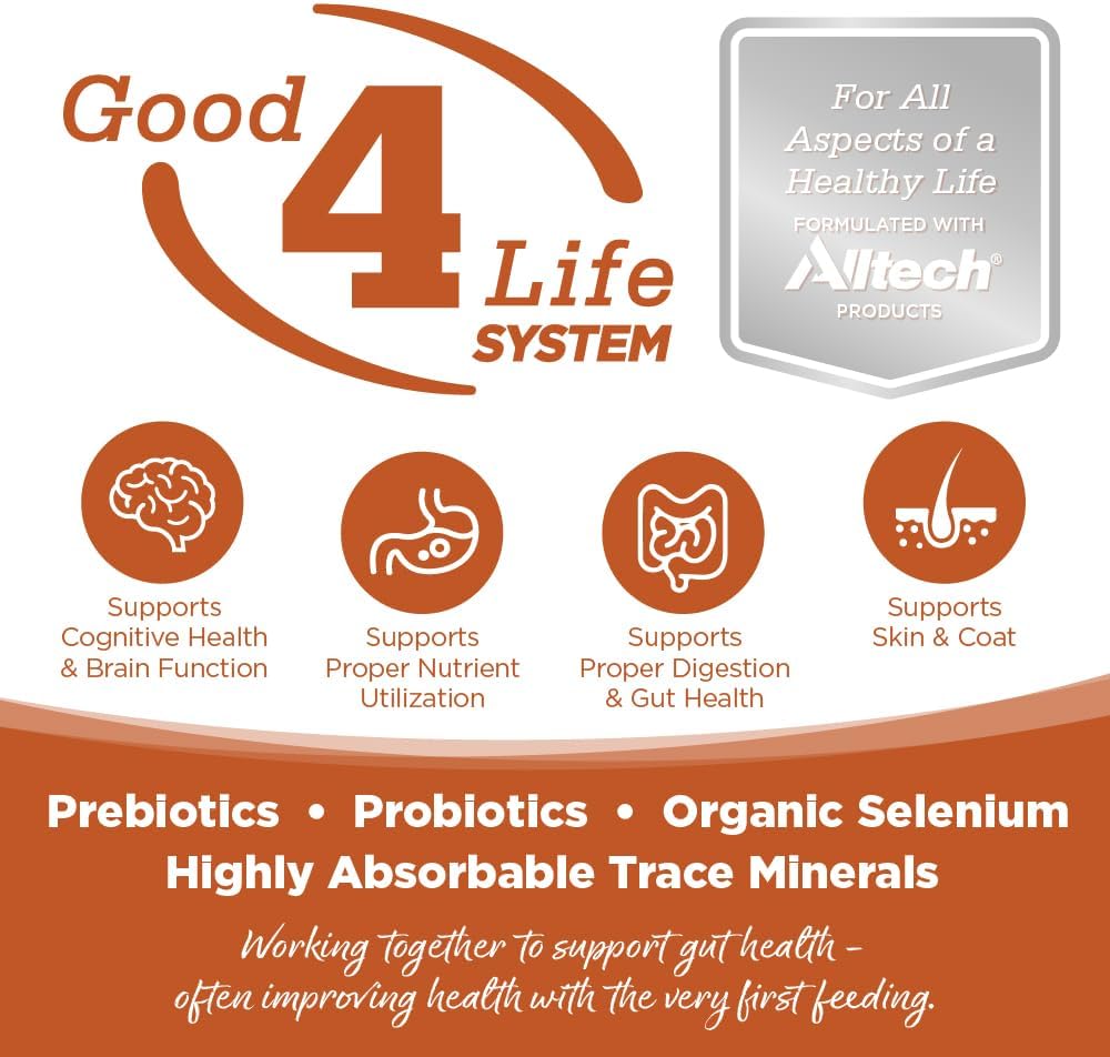 NutriSource Harvest Selects Hunter's Bounty Dog Cans, Premium Wet Dog Food, 12.3 Ounce (Pack of 12)