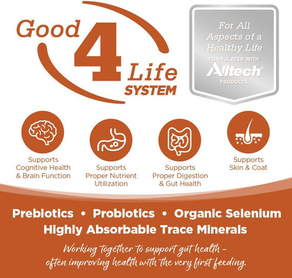 NutriSource Harvest Selects Hunter's Bounty Dog Cans, Premium Wet Dog Food, 12.3 Ounce (Pack of 12)