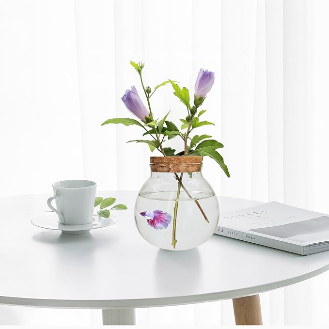 Small Betta Fish Tank Glass Fish Bowls for Betta Fish Goldfish, Aquaponic Fish Tank and Plants Cuttings Planter Terrarium Desktop Decorations Gifts