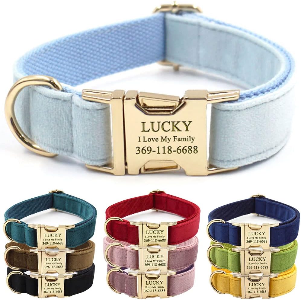 PETDURO Personalized Dog Collar Sky Blue Soft Velvet for Large Medium Small Boy Girl Dogs - Custom Collar with Name Phone Number Engraved on Gold Metal Buckle - Add Leash Bow Set via Customize Now