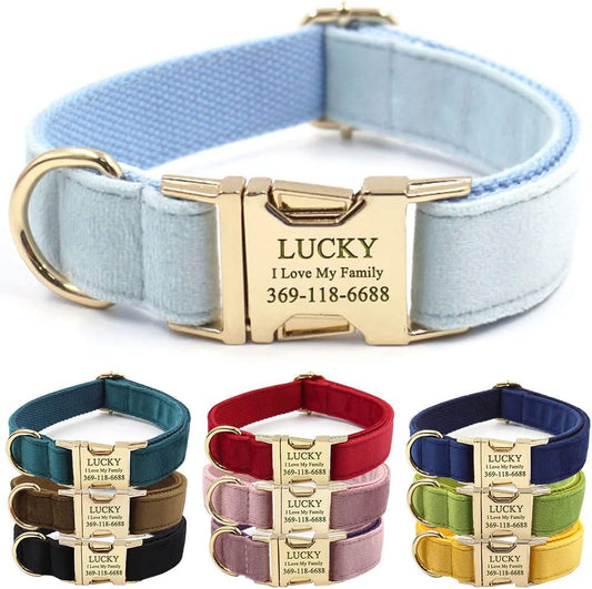 PETDURO Personalized Dog Collar Sky Blue Soft Velvet for Large Medium Small Boy Girl Dogs - Custom Collar with Name Phone Number Engraved on Gold Metal Buckle - Add Leash Bow Set via Customize Now