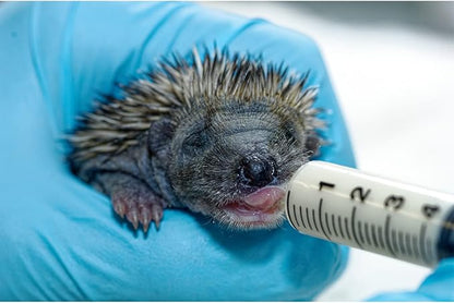 Exotic Nutrition Specialty Milk Replacer 8.8 Oz - - Healthy Powdered Formula - Ideal for Squirrel, Rabbit, Opossum, Raccoon